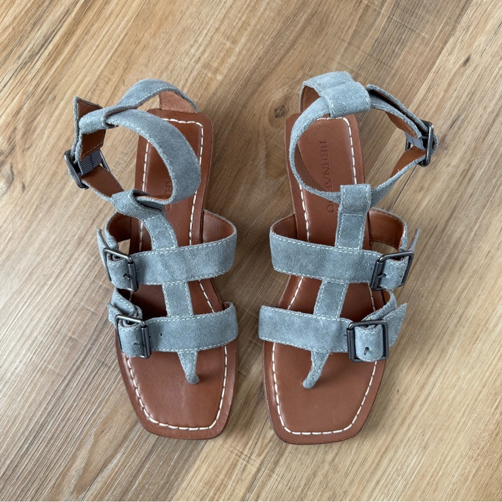 Bernardo Osten Buckle Gladiator Sandal in Storm Suede